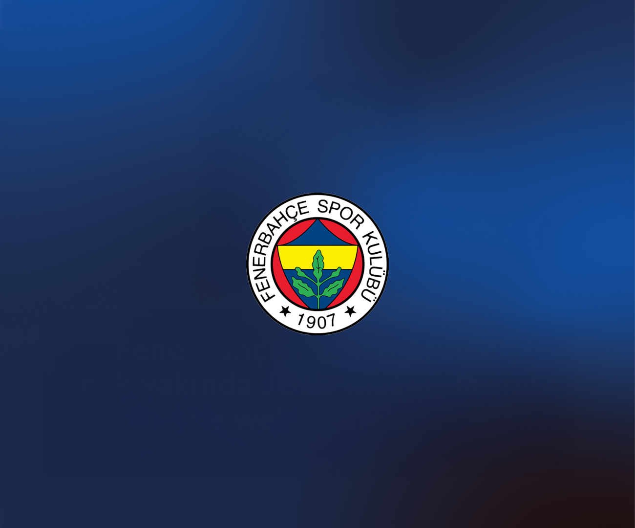 Fenerbahçe Lisanslı Koleksiyonu