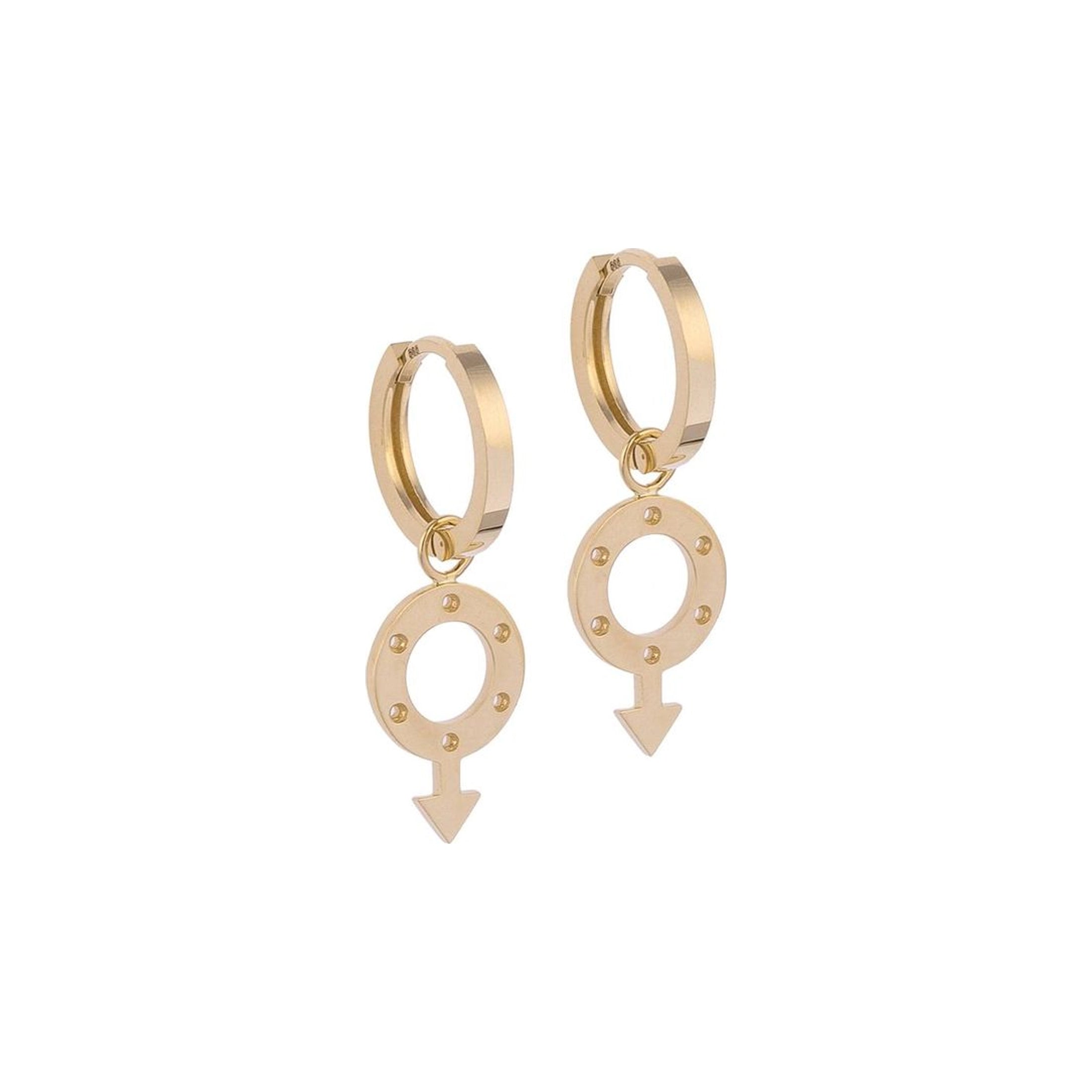 Male Sign Gold Earrings